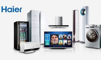 海爾家電第二屆全球品牌峰會(huì) 智能創(chuàng)新引領(lǐng)未來生活